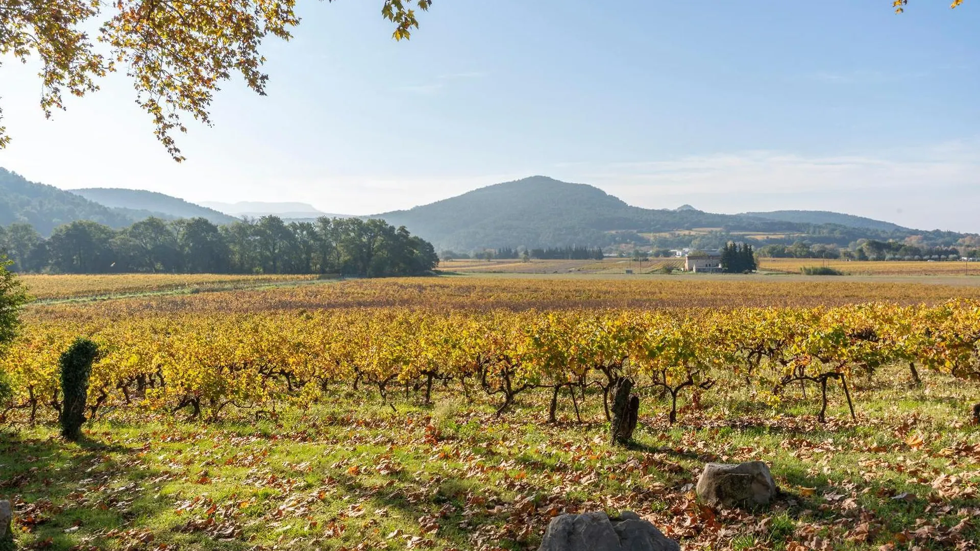 Casa de Campo L'Oustaou Du Clos Vaison-la-Romaine